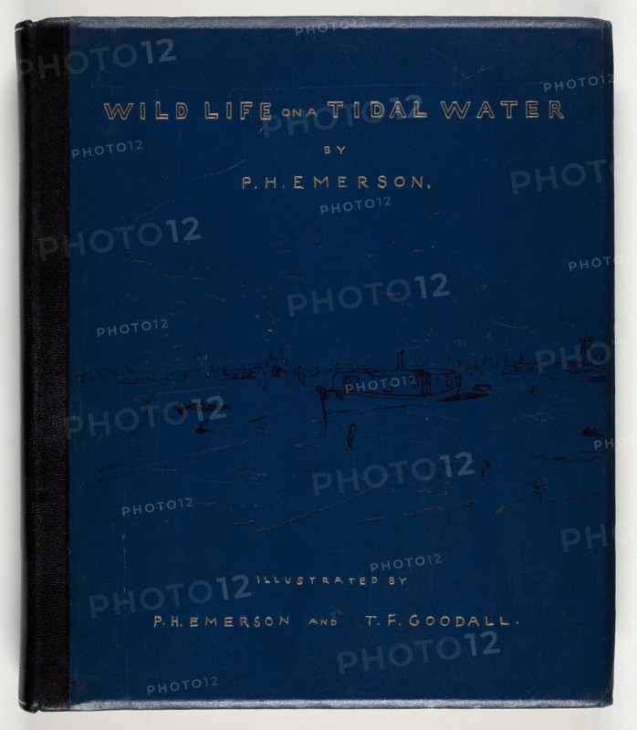 Wild Life on a Tidal Water: The Adventures of a House