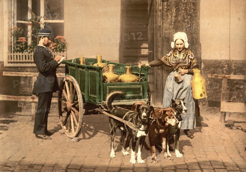 Flemish milk women, Antwerp, Belgium ca. 1890-1900