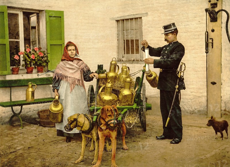 A Brussels milkmaid ca. 1890-1900