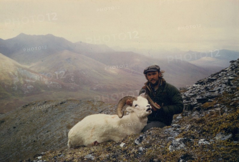 July 1974 - Hunter holding head of Dall sheep ram shot near July Creek, Alaska