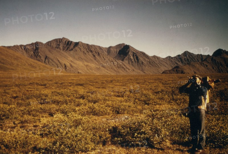 August 1974 - Sheep Hunter, Arctic Divide Brooks Range, Alaska