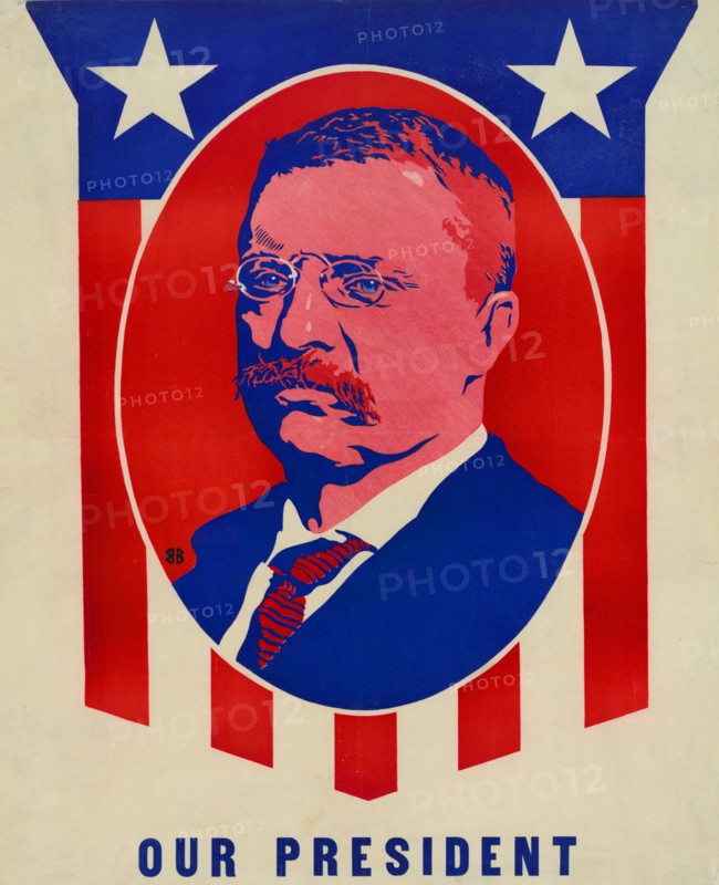 Theodore Roosevelt Print