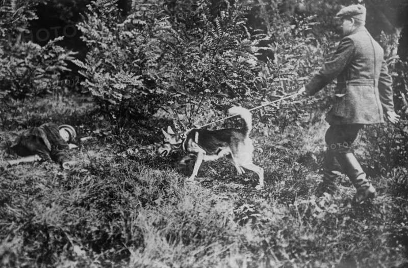 German man with a Red Cross dog searching for wounded soldiers during World War I ca. 1914-1915
