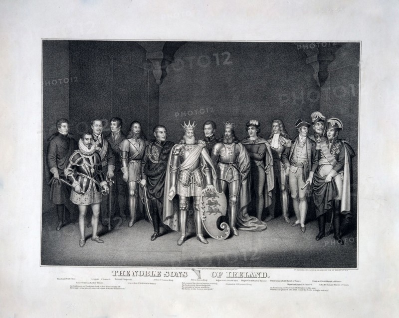 The noble sons of Ireland ca. 1873