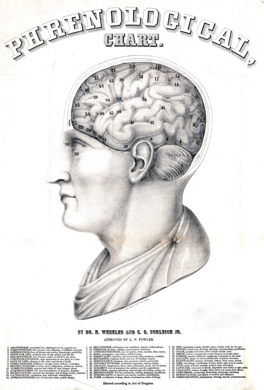 Phrenological chart ca. 1862