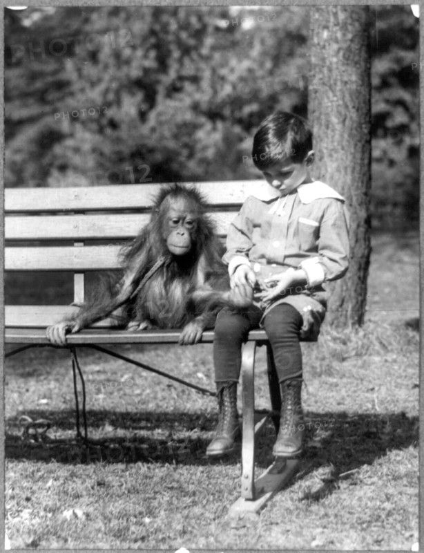 Boy seated with orangutan on bench at the National Zoo, Washington, D.C. ca. 1909-1932