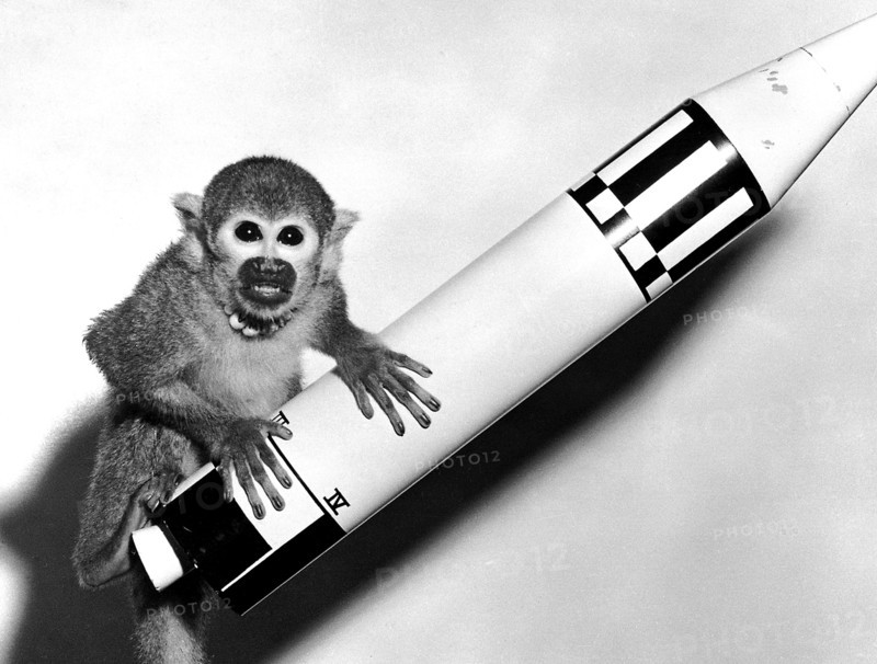 Monkey Baker, payload of Jupiter (AM-18), poses on a model of the Jupiter vehicle, May 29, 1959