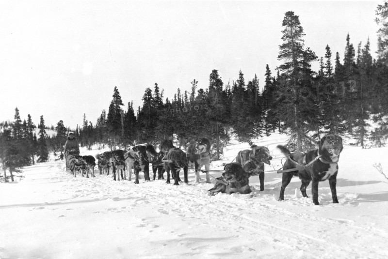 Erick Johnson U.S. mail team at Portage Creek, Alaska 1900-1927