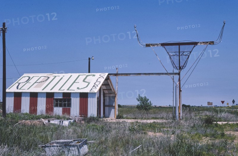 1980s America -   Reptile Galore, east of McLean, Texas 1982