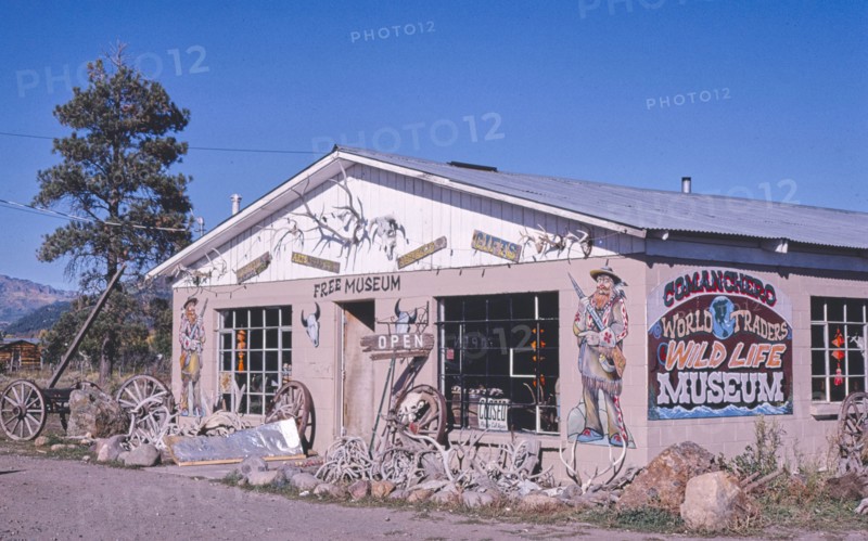 1980s America -   Wild Life Museum, Chama, New Mexico 1980