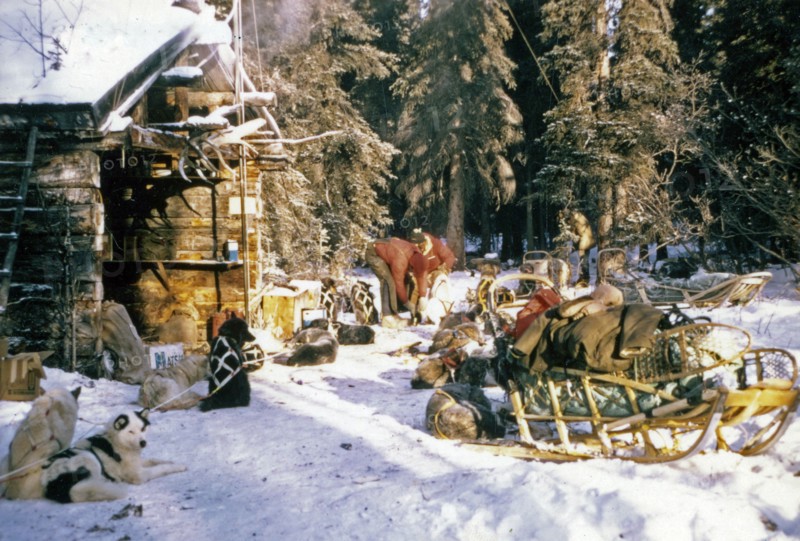 Sleds parked at Rohn River roadhouse during Iditarod ca. March 1974