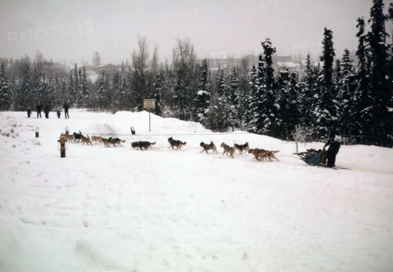 Starting Line-1974 Iditarod Race ca. March 1974