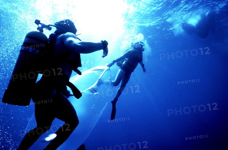 Navy divers from the Atlantic Fleet Audiovisual Command