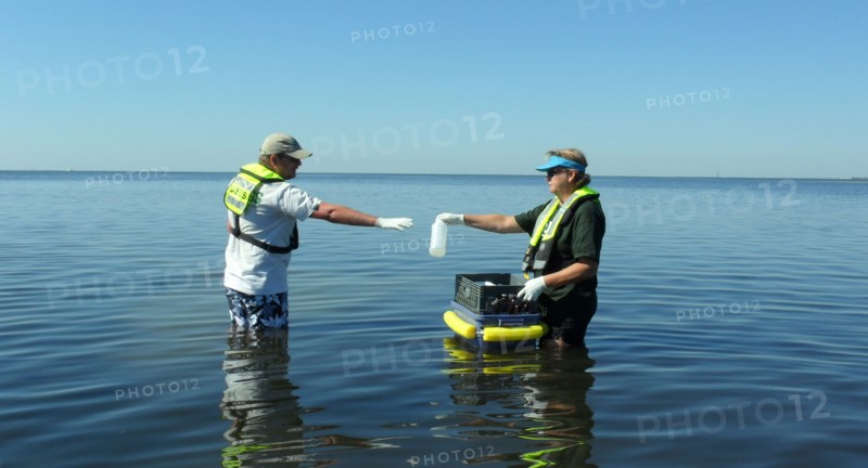 USGS Water-Quality Sampling at St. Marks National Wildlife Refuge ca. 2010
