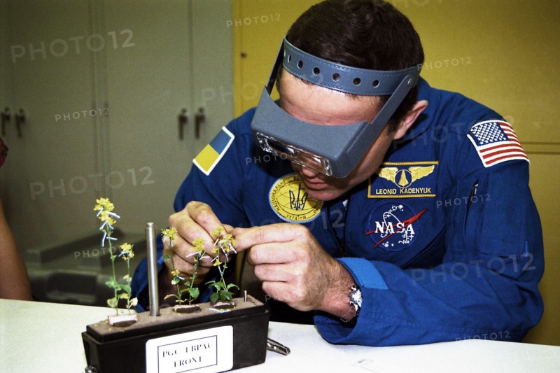 STS-87 Payload Specialist Leonid Kadenyuk of the National Space Agency of Ukraine (NSAU) ca. 1997