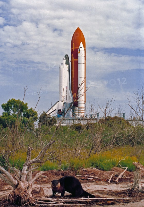 1992 - Endeavour, Orbiter Vehicle (OV) 105, roll out to KSC Launch Complex Pad 39B