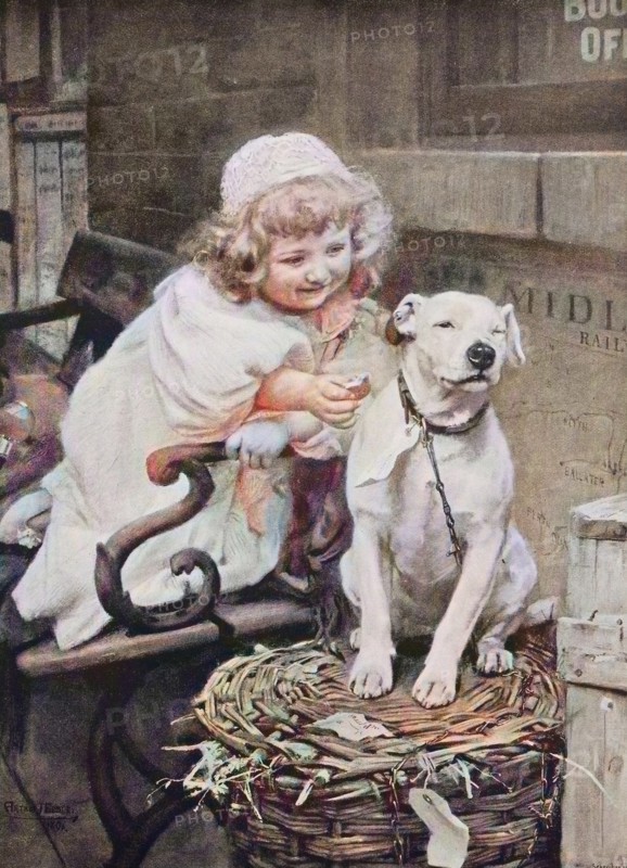 little girl gives the domestic dog a biscuit