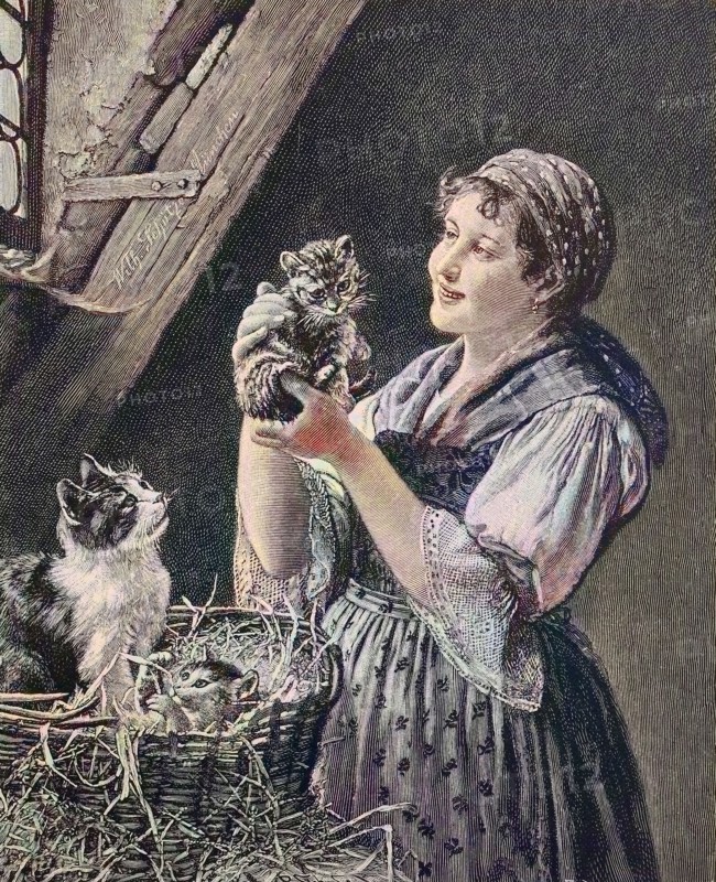 Die Hauskatze hat in einem Strohkorb Junge bekommen und die Bäuerin betrachet die Kätzchen