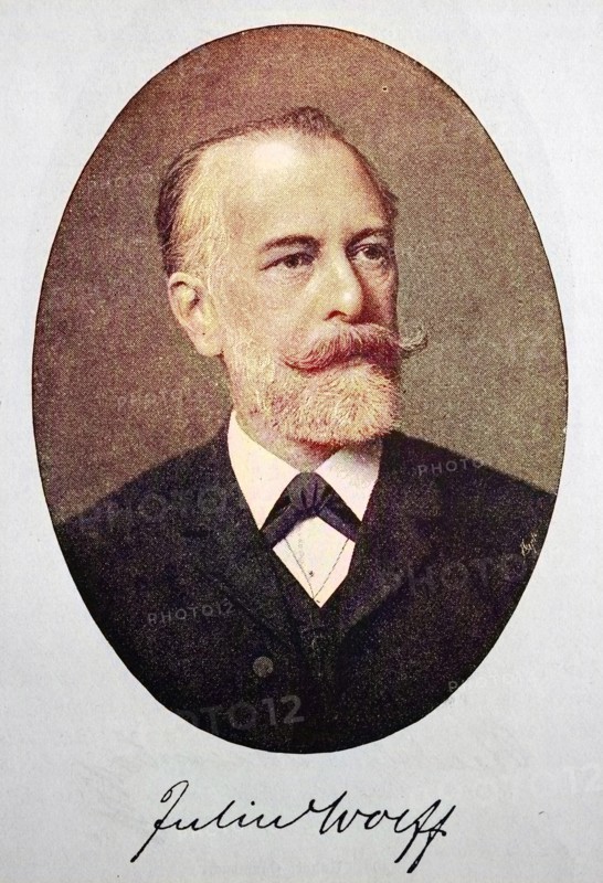 Julius Wolff
