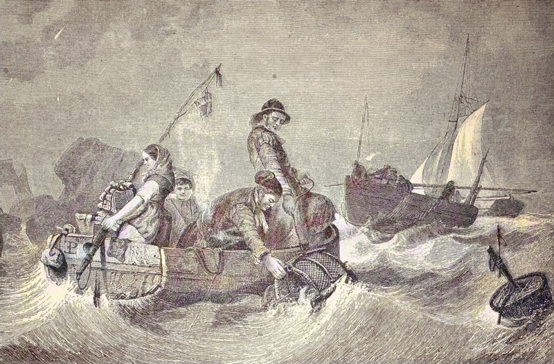 people from the german island Helgoland collecting goods from the sea