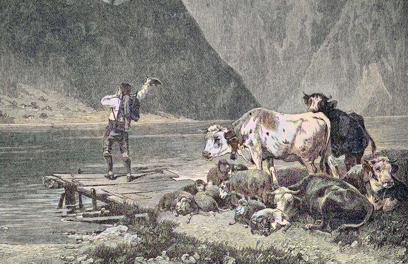 Cowherd is waiting for the ferryman