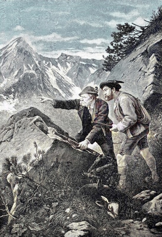 hunting for chamois