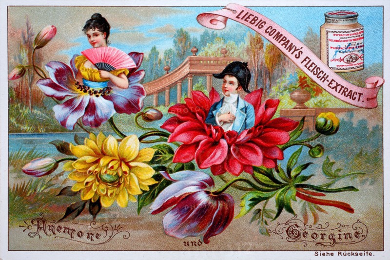 Flowers and people series