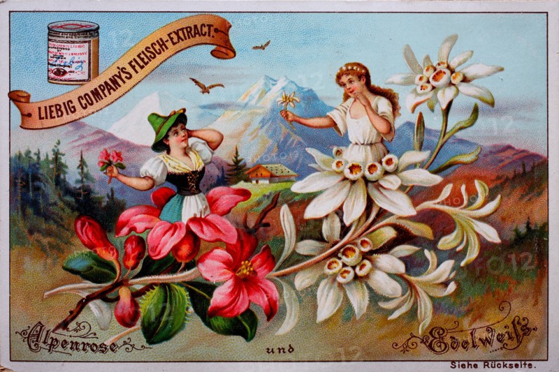 Series flowers and people