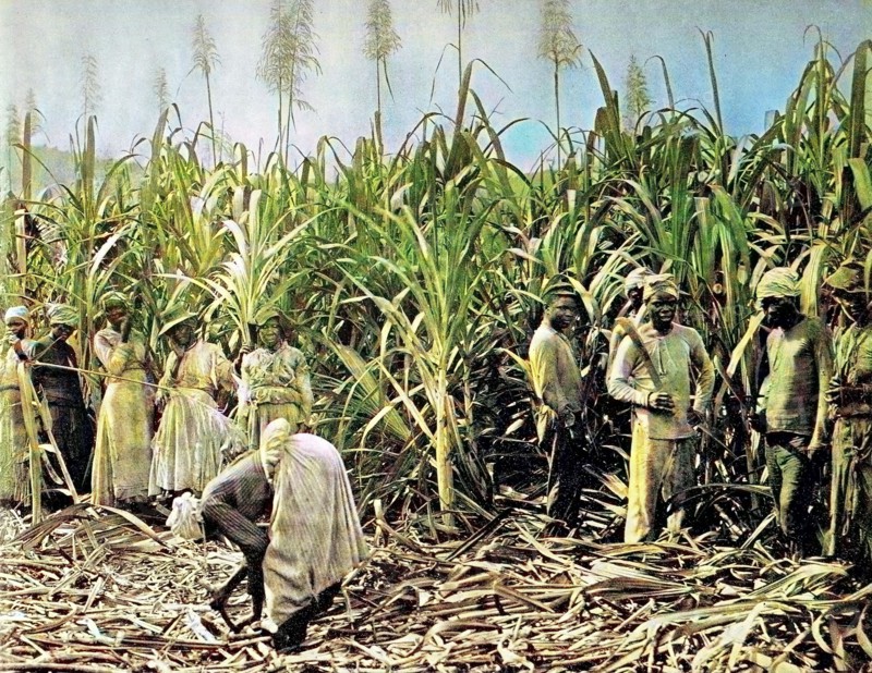 Jamaica