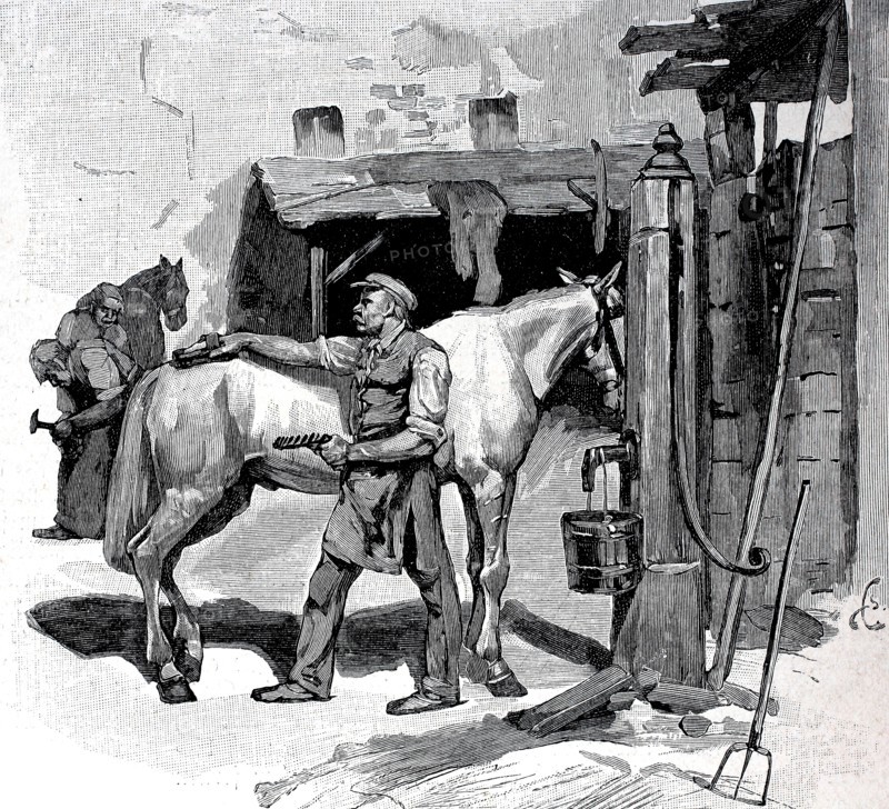 Horse groom and blacksmith of Berlin cab drivers