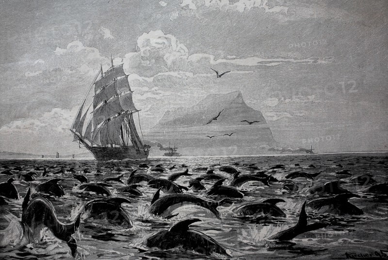 In the Strait of Gibraltar