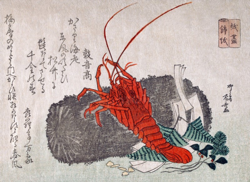 Lobster