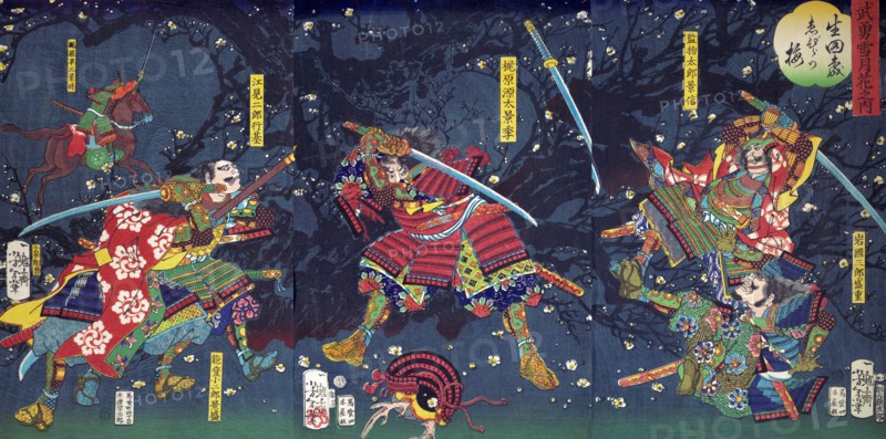 Battle in the Forest