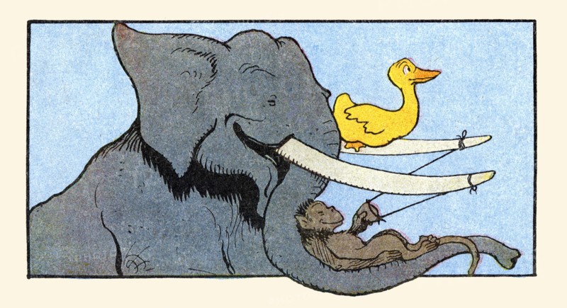Elephant Tusks make a Great Slingshot