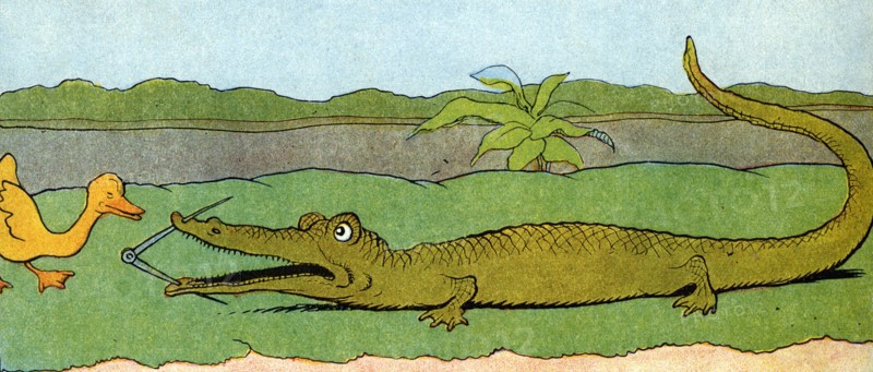 Gedeon Meets a Dangerouse Crocodile