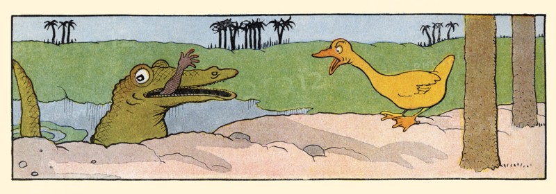 A Crocodile Eats a Native