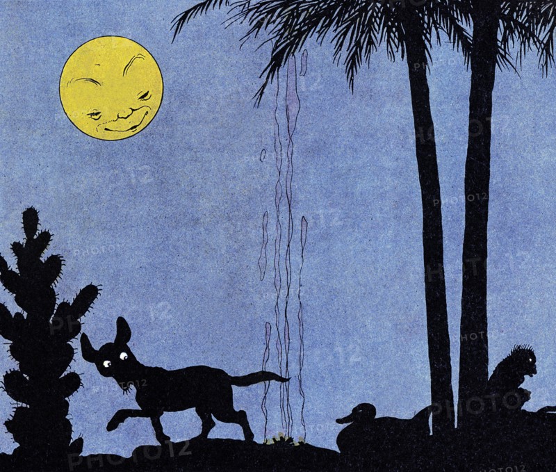Nighttime Brings out the Jackals