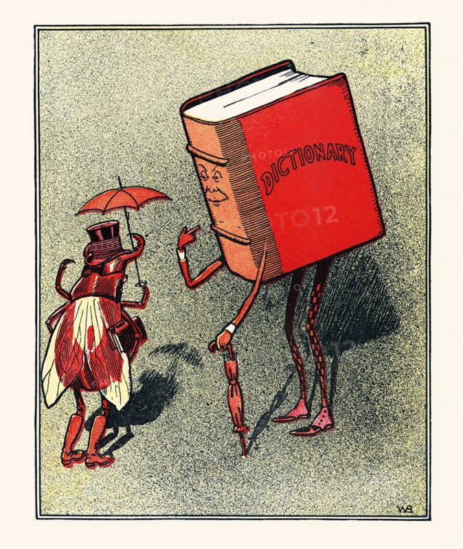 Mr. Dictionary