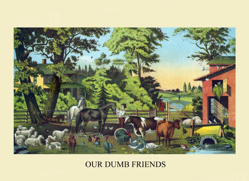 Our Dumb Friends