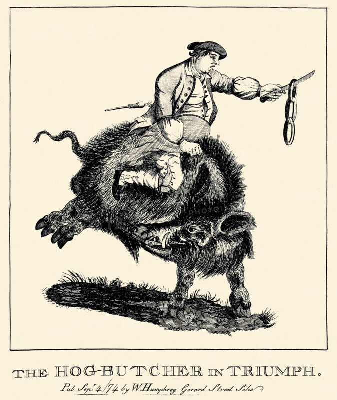 Hog Butcher in Triumph