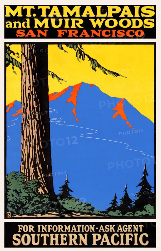 Mt. Tamalpais and Muir Woods, San Francisco