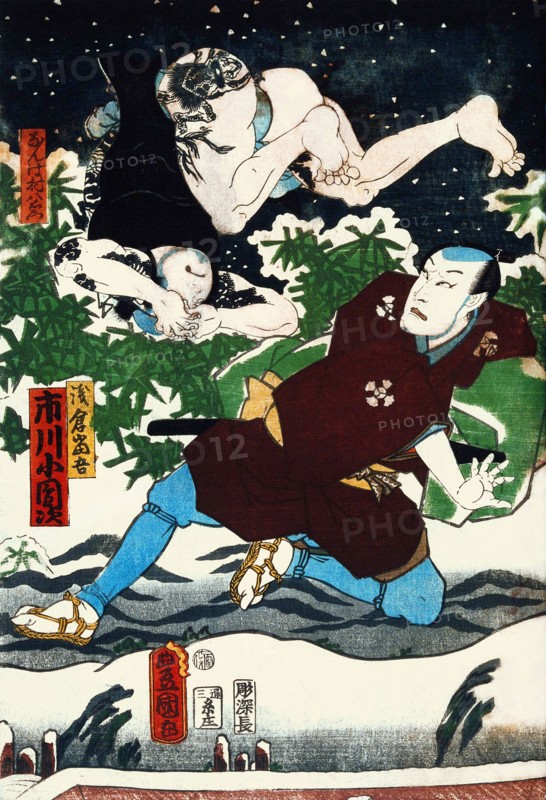 Conflict in the Snow