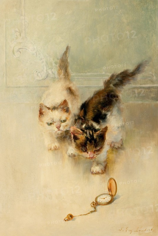 Two Kittens Playing