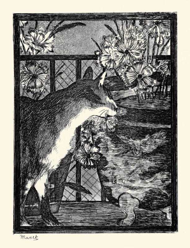 Cat and Flowers