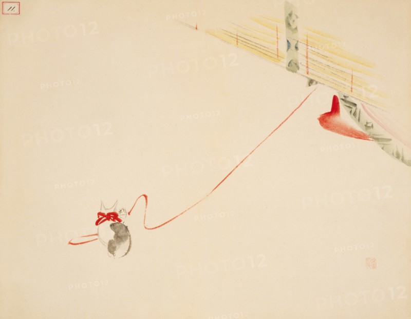 Cat on String