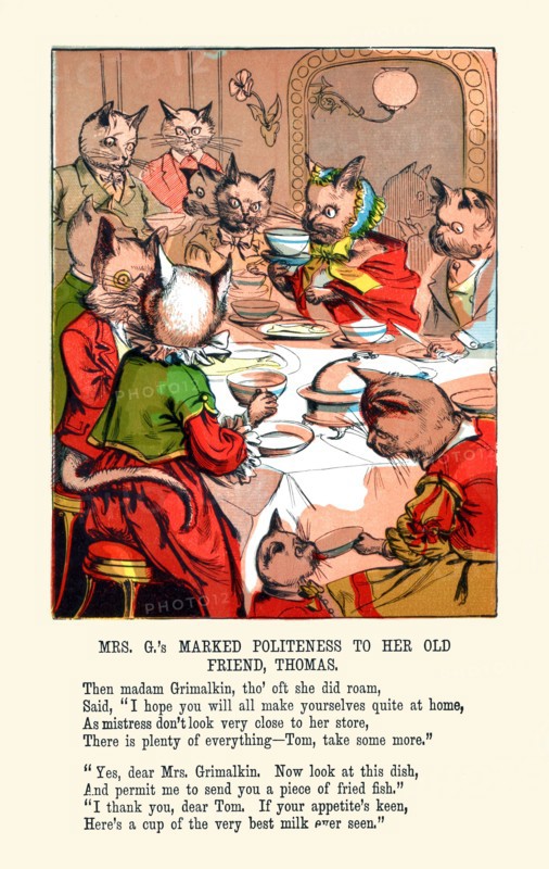 Mrs. G's Marked Politeness