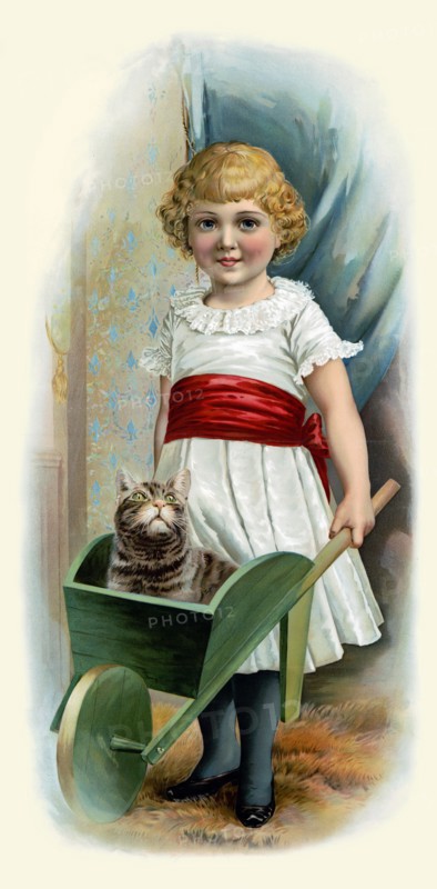 Cat in Wheelbarrow
