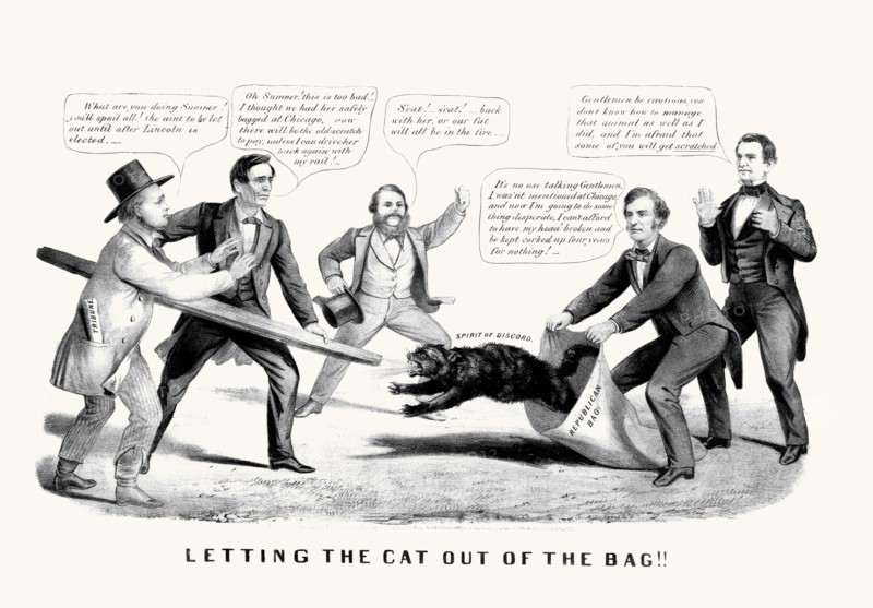 Letting the cat out of the bag!!