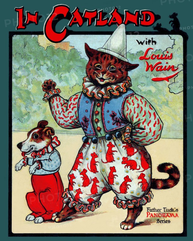 In Catland