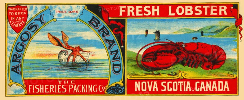 Argosy Brand Fresh Lobster